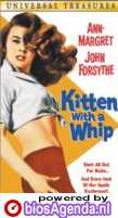 DVD-hoes Kitten with a Whip (c) Amazon.com