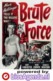 Poster Brute Force