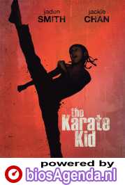 The Karate Kid poster, &copy; 2010 Sony Pictures Releasing