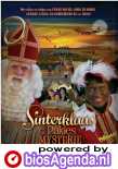 Sinterklaas en het Pakjes Mysterie poster, &copy; 2010 E1 Entertainment Benelux