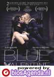 Blue Valentine poster, &copy; 2010 Paradiso