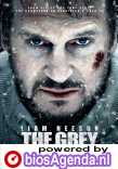 The Grey poster, &amp;copy; 2012 Dutch FilmWorks