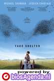 Take Shelter poster, &copy; 2011 A-Film Distribution