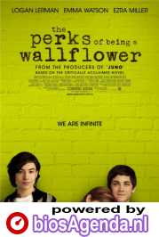 The Perks of Being a Wallflower poster, &copy; 2012 Paradiso