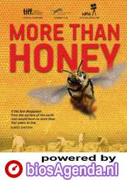 More Than Honey poster, &copy; 2012 Imagine