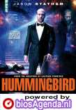 Hummingbird poster, &copy; 2013 Dutch FilmWorks