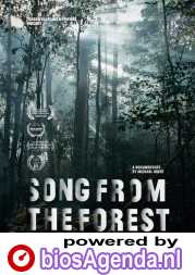 Song from the Forest poster, © 2013 Amstelfilm