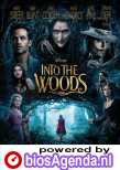 Into the Woods poster, © 2014 Walt Disney Pictures