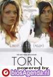 Torn poster, © 2013 Arti Film