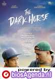The Dark Horse poster, © 2014 Imagine
