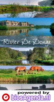 Rivier De Donge poster, copyright in handen van productiestudio en/of distributeur