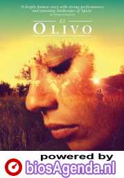 El olivo poster, © 2016 September