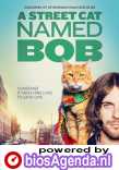 A Street Cat Named Bob poster, © 2016 Entertainment One Benelux