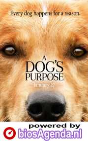 A Dog's Purpose poster, © 2017 Entertainment One Benelux