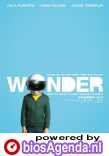 Wonder poster, © 2017 Independent Films