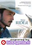 The Rider poster, &copy; 2017 Cherry Pickers