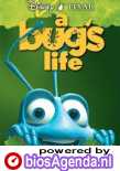 Poster 'A Bug's Life' © 1998 Pixar Animation Studios