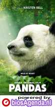 Pandas poster, copyright in handen van productiestudio en/of distributeur
