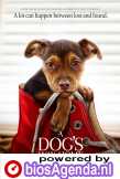 A Dog's Way Home poster, © 2019 Universal Pictures International