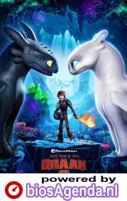 How to Train Your Dragon 3 poster, © 2019 Universal Pictures International