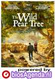 The Wild Pear Tree poster, © 2018 September