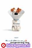 The Secret Life of Pets 2 poster, &copy; 2019 Universal Pictures International