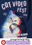 CatVideoFest 2019 poster, © 2019 Cinema Delicatessen