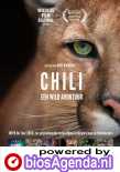 Chili poster, &copy; 2020 M&N Film Distribution