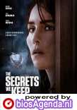 The Secrets We Keep poster, © 2020 Dutch FilmWorks