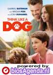 Think Like a Dog poster, copyright in handen van productiestudio en/of distributeur