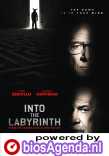 Into the Labyrinth poster, © 2019 Dutch FilmWorks