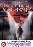 The Escape from Auschwitz poster, copyright in handen van productiestudio en/of distributeur