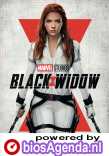 Black Widow poster, © 2020 Walt Disney Pictures