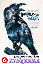 Witches in the Woods poster, copyright in handen van productiestudio en/of distributeur