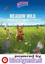 Nature on Tour Meadow Wild poster, copyright in handen van productiestudio en/of distributeur