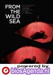 From the Wild Sea poster, copyright in handen van productiestudio en/of distributeur