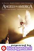 DVD Angels in America (c) Amazon.com