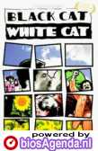 Poster 'Black Cat, White Cat' (c) 1999